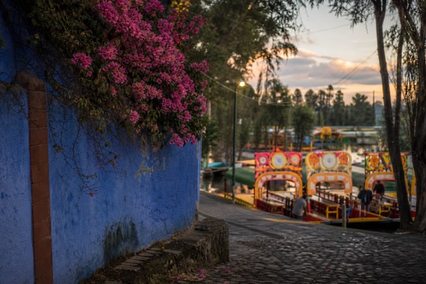 Xochimilco and Coyoacán with Optional Frida Kahlo Entry