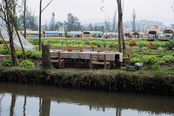 Pre-Hispanic Xochimilco: Chinampa Lunch and Axolotl Sanctuary