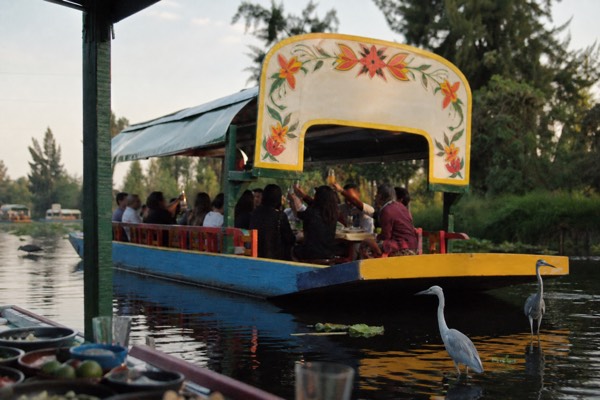 Xochimilco & Mexican Party with Guacamole & Unlimited Drinks