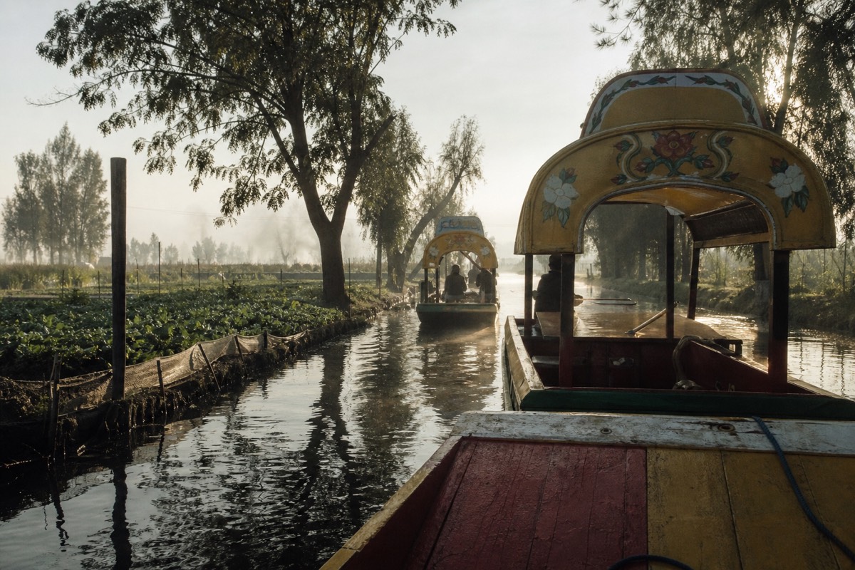 Private trajinera gliding through a quiet misty Xochimilco canal past chinampa farm plots at sunrise