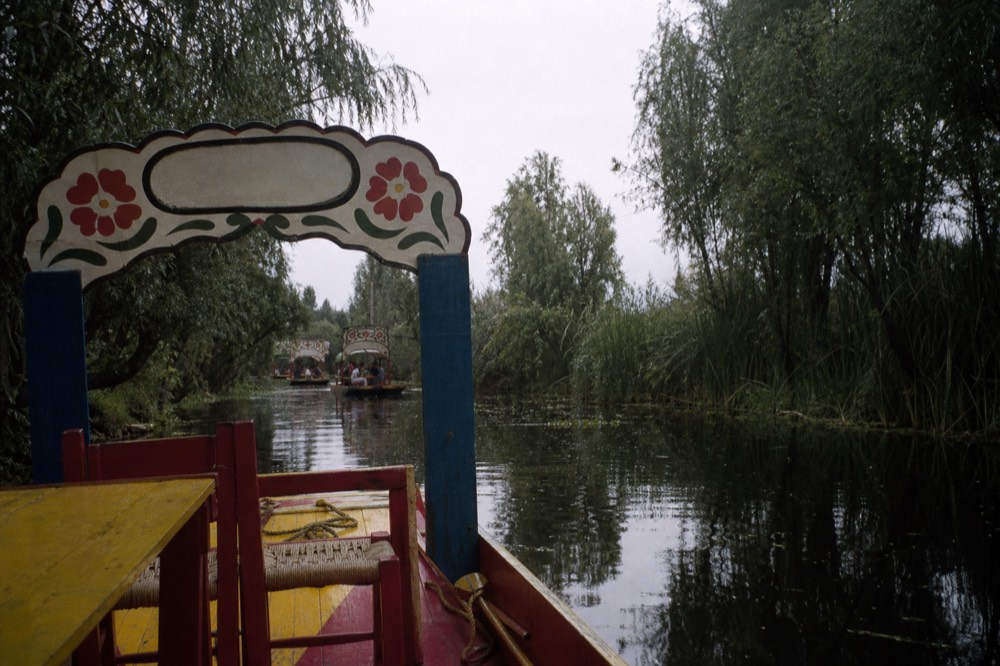 A narrow canal channel closing in with reeds and overhanging branches, a low wooden boat pushing through green water toward an overgrown bank