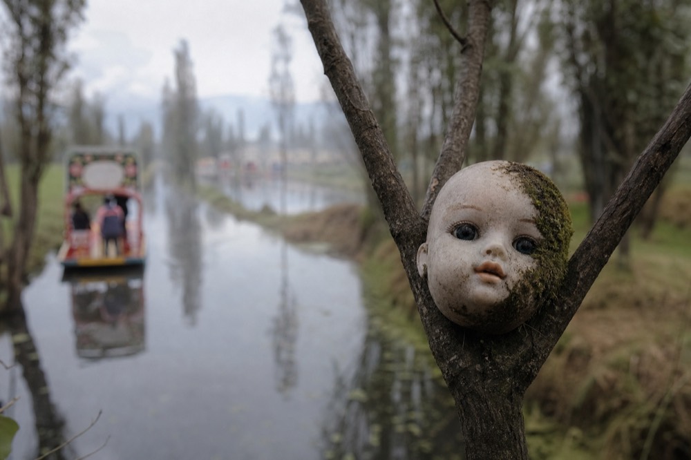 A single porcelain doll head resting in a fork of a bare branch, moss creeping across one cheek, water blurred behind
