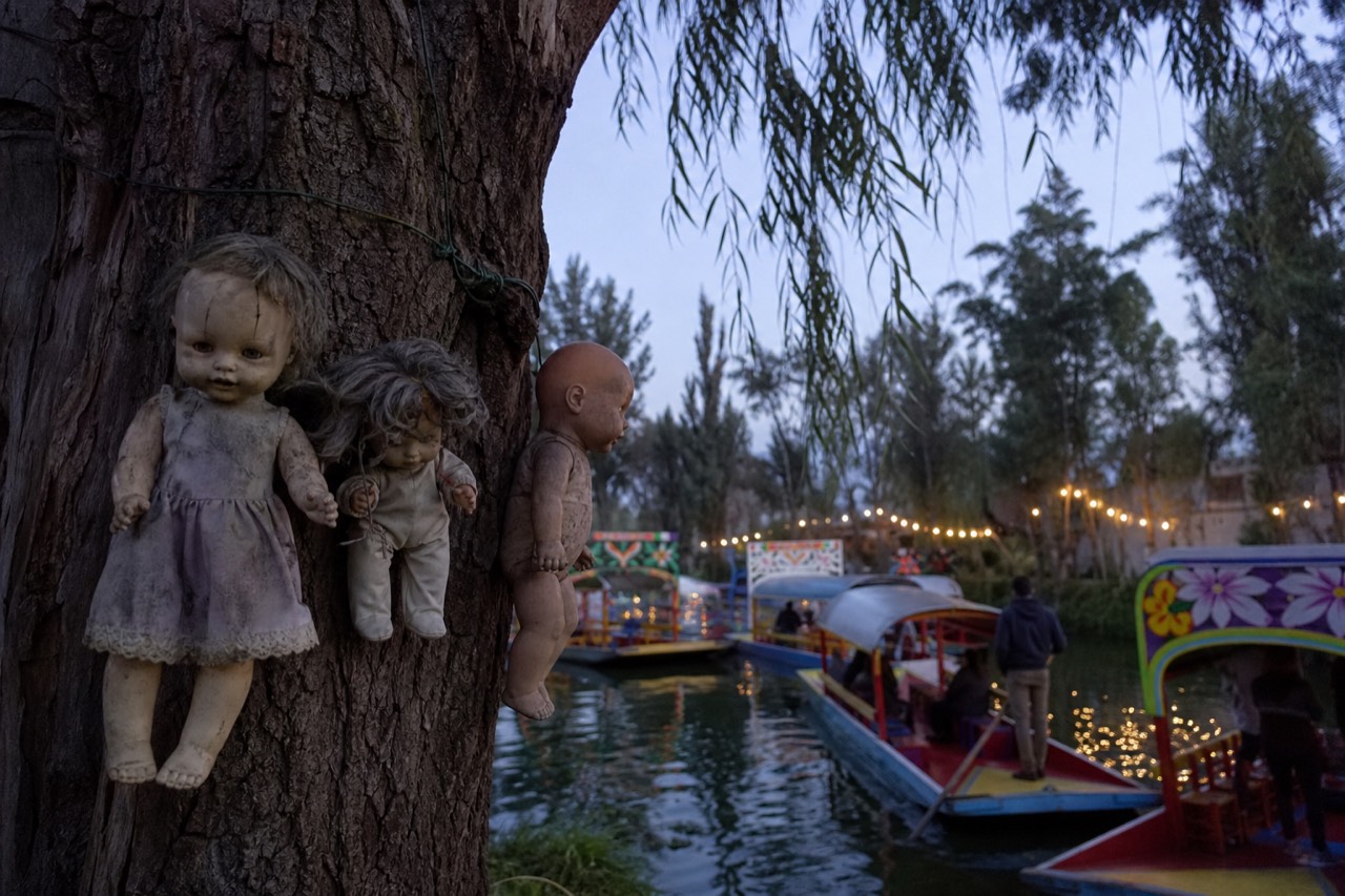 Sun-bleached dolls wired to the trunk of a willow on a small canal island, cracked faces turned toward dark green water