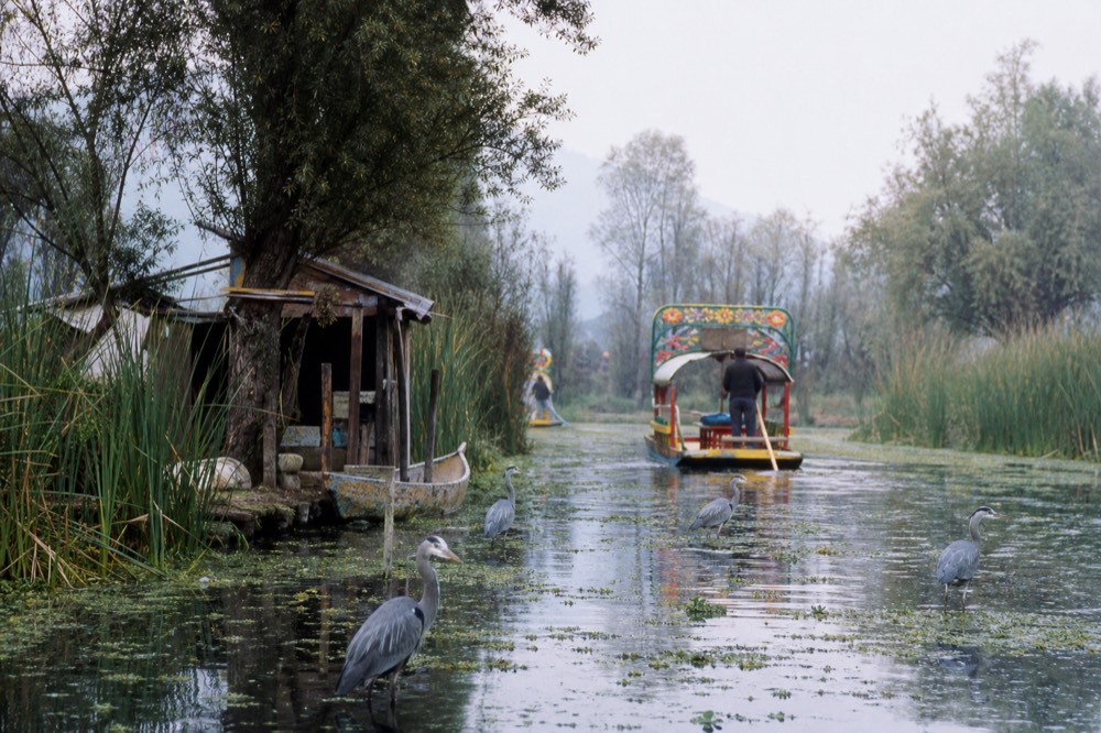 Small overgrown farm island reached by narrow water channel, a low wooden shack among tangled trees and reeds