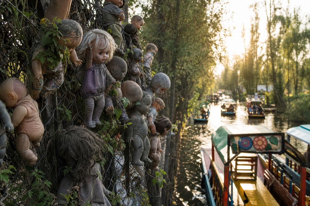 Dense cluster of faded dolls of many sizes strung along a wire fence, vines growing through their arms and hair