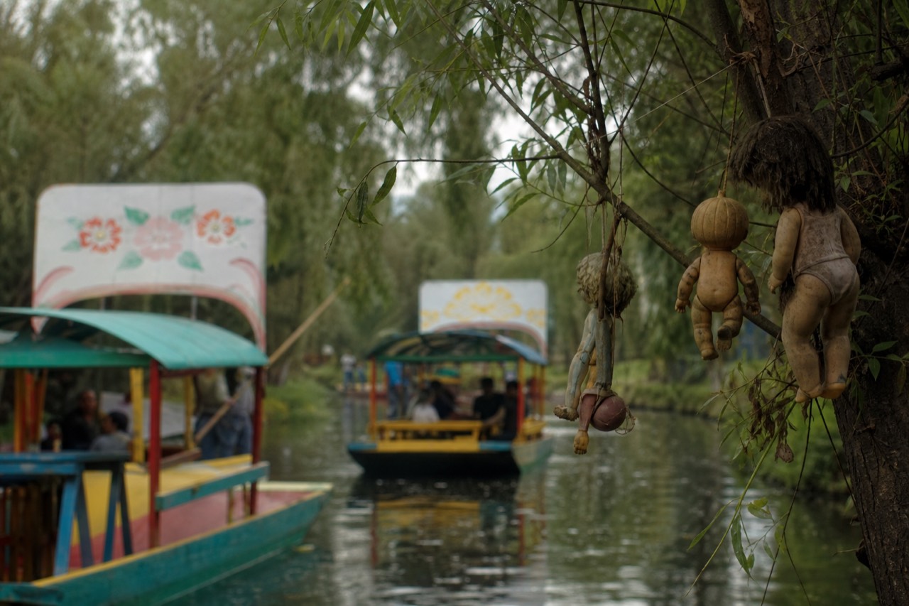 Weathered plastic dolls hanging from wire on the branches of a canal-side willow, paint faded and limbs missing
