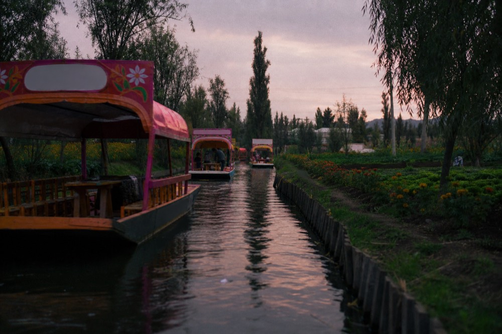 Long rectangular farm plots edged with willow trees separating narrow waterways, rows of lettuce and marigolds growing on the soil