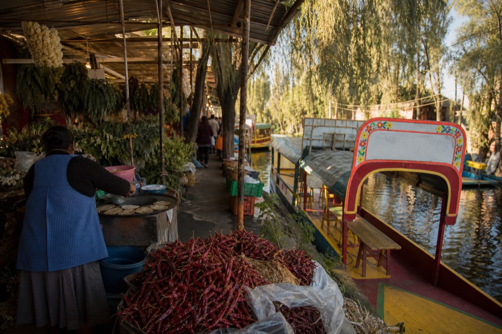 A busy covered market aisle with stacked chillies, herb bundles and a woman pressing masa at a griddle stall