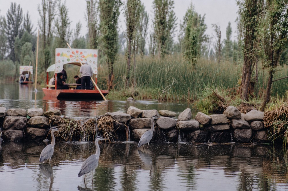 A filtration structure of stacked stone and reed beds built across the narrow end of a canal beside a planted farm island