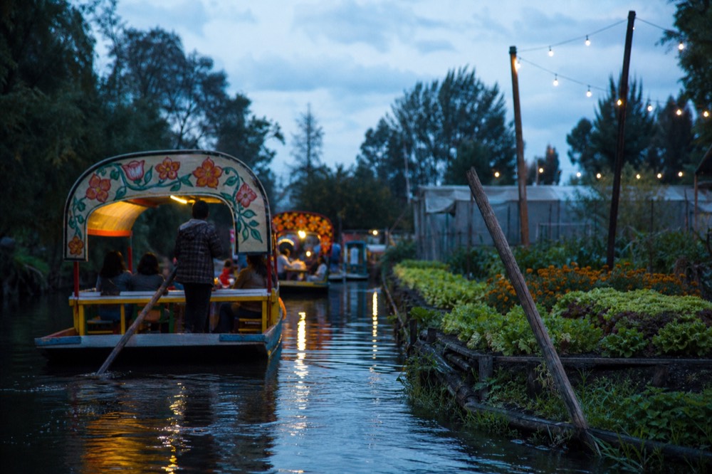 Narrow farm canal between two chinampa plots, rows of lettuce and marigolds growing right down to the waterline, a wooden pole leaning against the bank