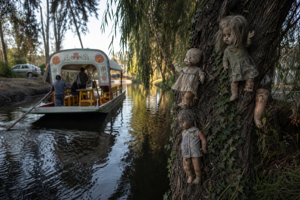 Weathered plastic dolls nailed to the trunk of a willow leaning over dark canal water, faded dresses and missing limbs, ivy climbing the bark