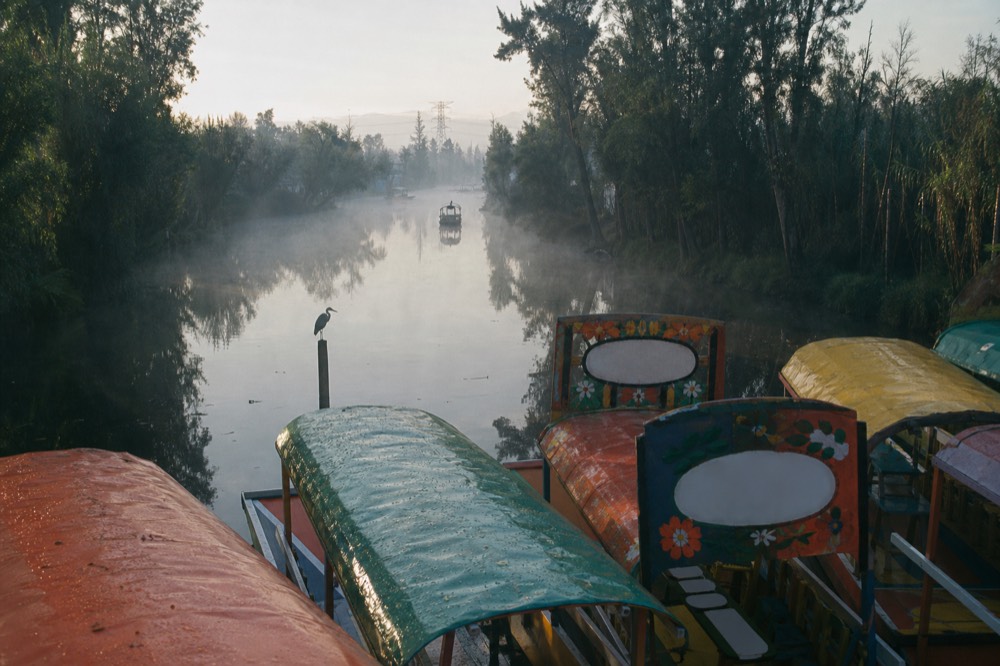 Dawn on a wide canal with low mist over still water, a heron standing on a wooden post and a single empty boat drifting in the distance