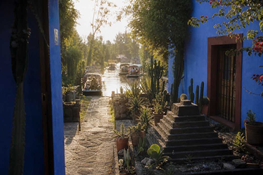 Sunlit interior courtyard of an old Mexican house with cobalt blue walls, potted cacti along a stone path and a stepped pyramid ornament in the garden
