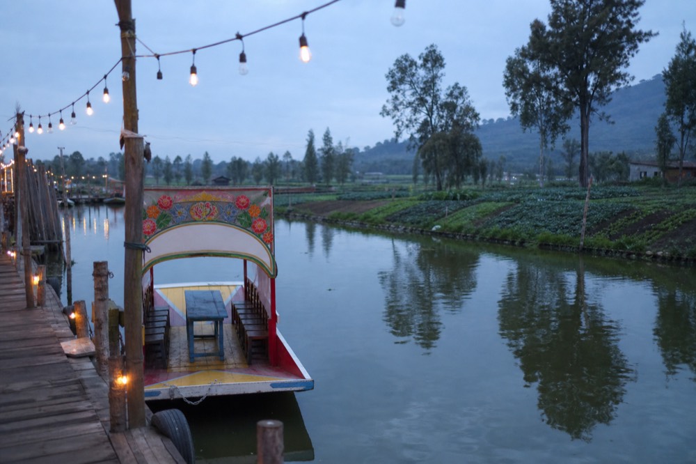 Empty green canal in soft early light with rows of farmed vegetable beds on the bank and a single unoccupied boat tied to a post