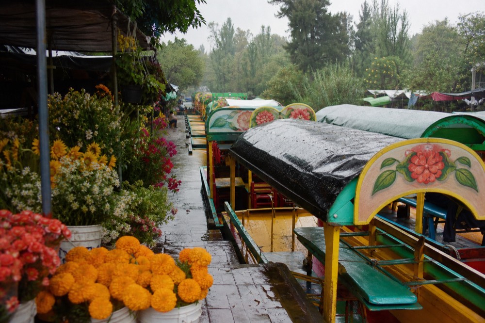 Market stalls of cut flowers and potted plants lining the walkway down to a canal dock, buckets of orange marigolds in the foreground