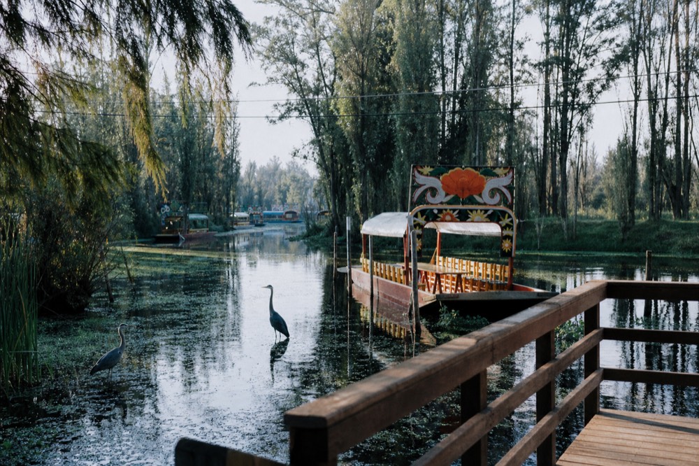 Quiet tree-lined ecological canal with a wooden viewing platform, tall reeds along the bank and one boat tied to a post