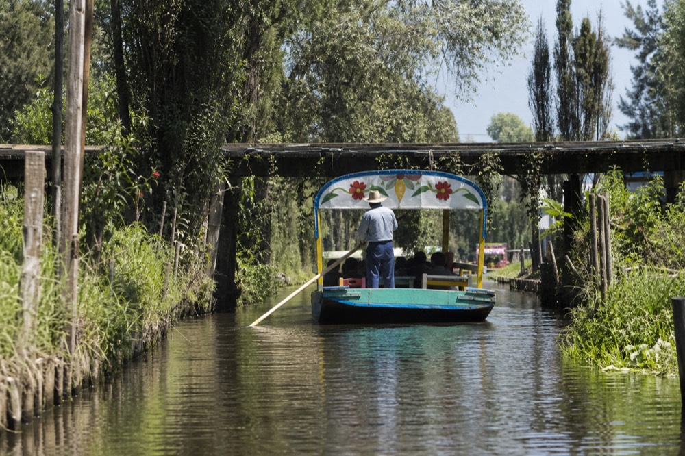 Narrow secondary canal between chinampa plots at midday, a single boat approaching a low wooden footbridge with hanging vines