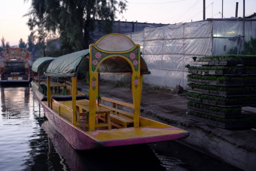 Early light on a working canal with a greenhouse of plastic sheeting on one bank and a stack of seedling trays waiting to be loaded