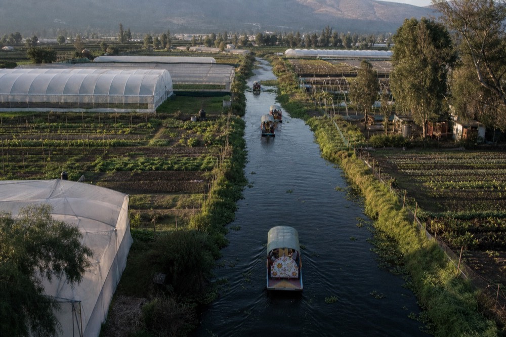 Aerial-style view of a grid of long rectangular farm islands separated by narrow water channels, greenhouses and crop rows visible