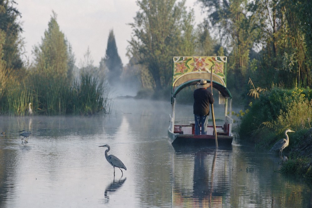Nearly empty canal on a weekday morning with a single boatman poling a flat wooden craft past reed beds, mist still low on the water