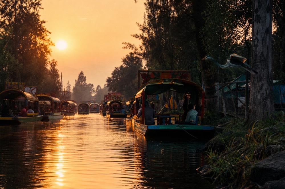 Sunrise over a still canal with pink light on the water, silhouetted boat canopies and a heron lifting off from the bank