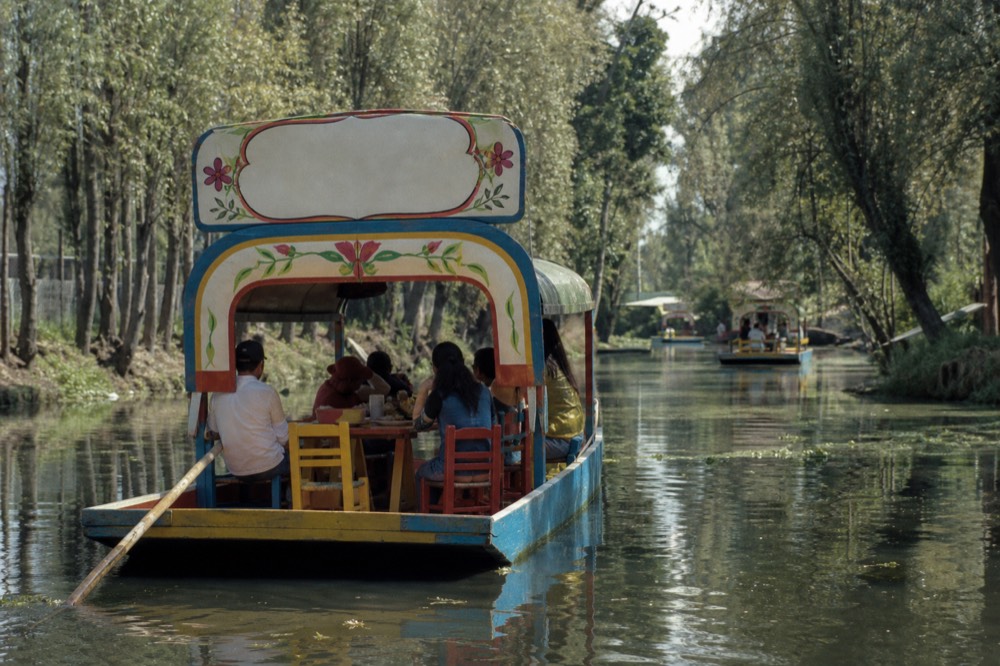 A long flat-bottomed canal boat with a painted arch passing between banks of tall willows in still dark water