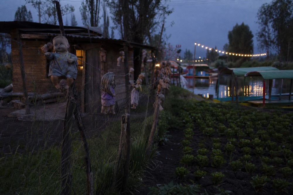 A weathered wooden shack on a small farm island with strings of dolls hanging from a wire fence beside rows of vegetables