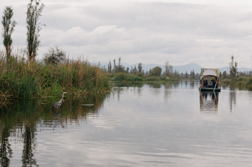 Wide open lagoon inside the protected canal zone with reed beds, herons and a single distant boat under a big cloudy sky