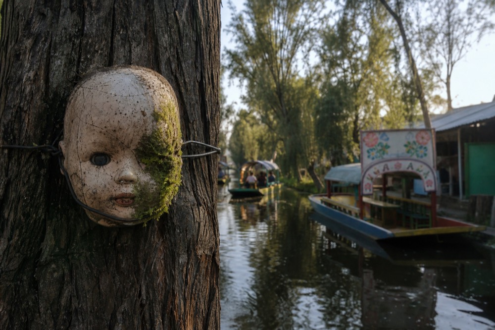 Close view of a cracked porcelain doll head lashed to a rough tree trunk with wire, moss growing across one cheek